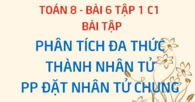 Bài tập phân tích đa thức thành nhân tử bằng phương pháp đặt nhân tử chung - Toán 8 bài 6 tập 1 chương 1